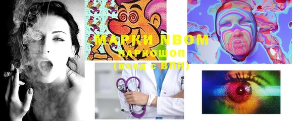 шишки Балабаново